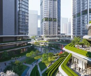 效果图