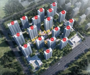 效果图