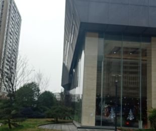 效果图