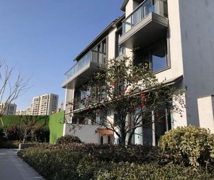 样板图